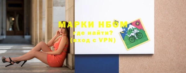 индика Нефтекумск