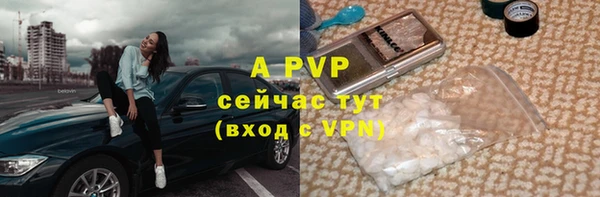 индика Нефтекумск